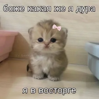🌟 emoji ржомба хд : @expensiverare Telegram sticker 21 of 109
