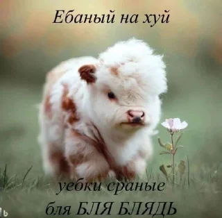 🌟 emoji ржомба хд : @expensiverare Telegram sticker 16 of 109