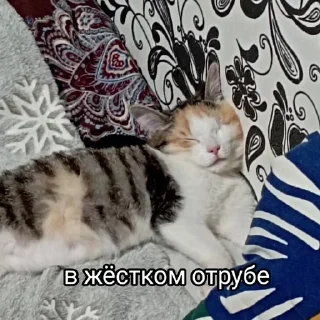 😪 emoji Китолицизм Telegram sticker 7 of 33