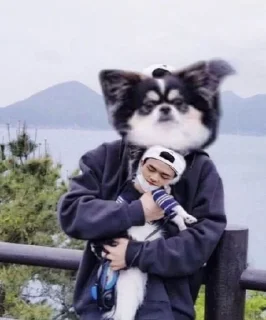 🌟 emoji Хёнджин Telegram sticker 10 of 30