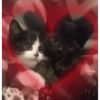❤️ emoji Аська Telegram sticker 13 of 26
