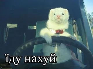 👋 emoji сцюпер/дякую Telegram sticker 14 of 93