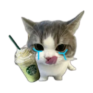 🐱 emoji qeueioph Telegram sticker 17 of 30