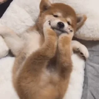 🌟 emoji @CloobHub <- больше стиков Telegram sticker 21 of 45