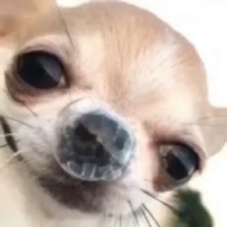 🌟 emoji @CloobHub <- больше стиков Telegram sticker 15 of 45