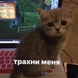 😄 emoji Клоуны Telegram sticker 8 of 48