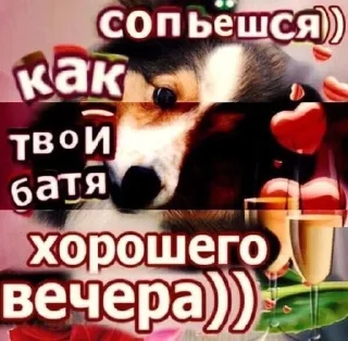 🍻 emoji Открытки на все случаи жизни Telegram sticker 8 of 120