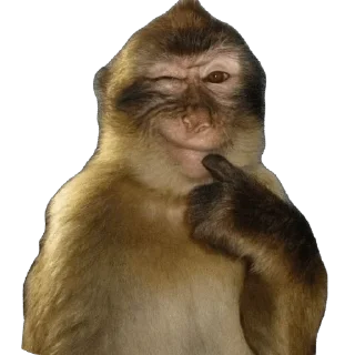 🌟 emoji викусик на связи Telegram sticker 5 of 59