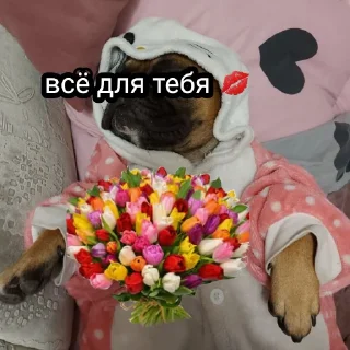 🌷 emoji Жора Telegram sticker 21 of 61