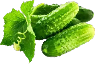 🥒 emoji 🥒 Telegram sticker 23 of 53