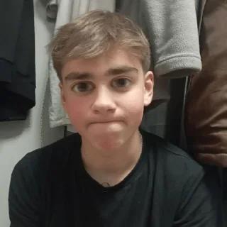 🍟 emoji пбо киров-цирк Telegram sticker 23 of 53