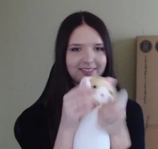 😺 emoji Сонічка🌻 Telegram sticker 8 of 92