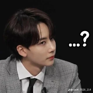 ❓ emoji Svtismylife Telegram sticker 5 of 34