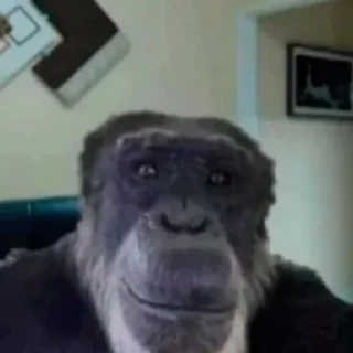 🐒 emoji Жиза Telegram sticker 8 of 18