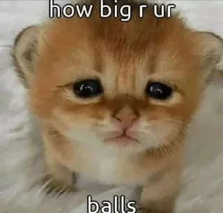👌 emoji рыжики Telegram sticker 10 of 74