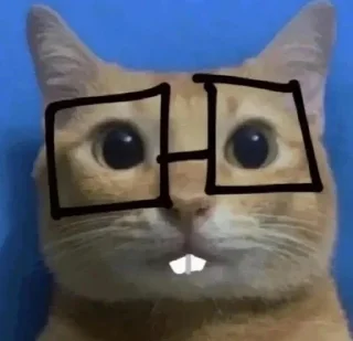 🤓 emoji рыжики Telegram sticker 13 of 74