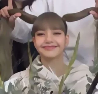 🍇 emoji #. lisa [ @misakostickers ] Telegram sticker 23 of 30