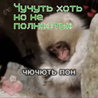 Sticker from Лысый пак