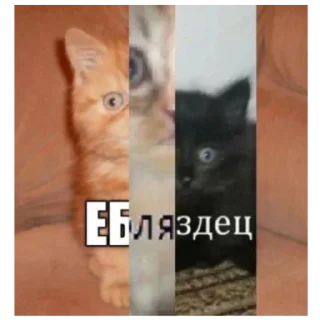 Sticker from Котеки