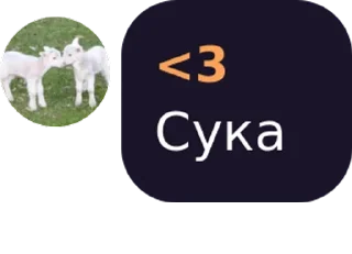 🤬 emoji Гаремчик Telegram sticker 8 of 11