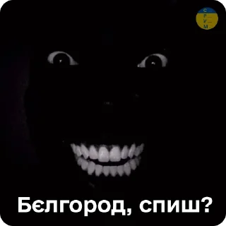 Sticker from Стікери @sru_memy