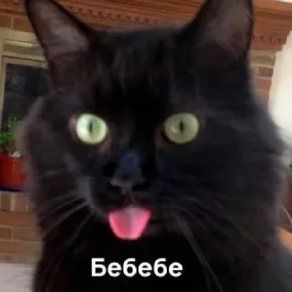🍪 emoji <3 Telegram sticker 7 of 89