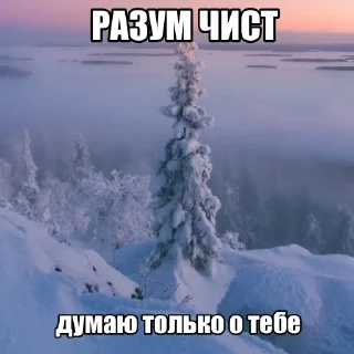 🌟 emoji я улыбаюсь Telegram sticker 15 of 38