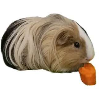 🐶 emoji Крутышки Telegram sticker 14 of 60