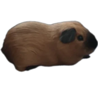 🐶 emoji Крутышки Telegram sticker 11 of 60