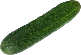 🥒 emoji 🥒 Telegram sticker 19 of 53