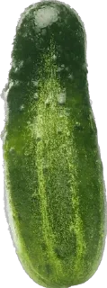 🥒 emoji 🥒 Telegram sticker 7 of 53