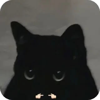 Sticker from Kittens???