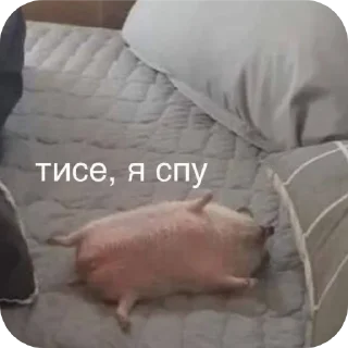 😴 emoji Стикер пак богемы Telegram sticker 19 of 35
