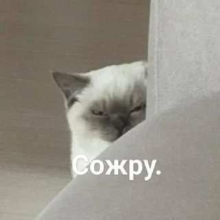 😑 emoji Юн. Telegram sticker 1 of 8