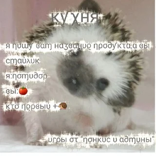 🦔 emoji игры от "понкис и админы" Telegram sticker 6 of 11