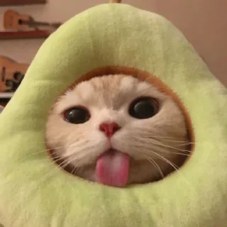 😋 emoji cats Telegram sticker 13 of 46
