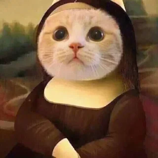 🤩 emoji котики Telegram sticker 8 of 72