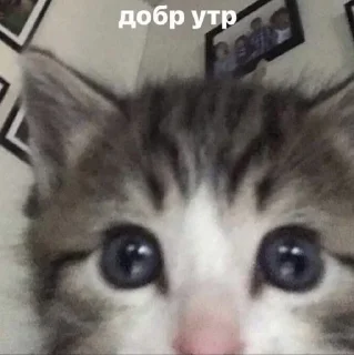 😱 emoji с добрым утром на каждый день Telegram sticker 8 of 15