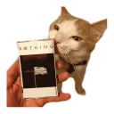 😻 emoji Random access Telegram sticker 14 of 43