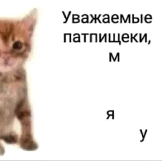 😼 emoji неебу Telegram sticker 24 of 120