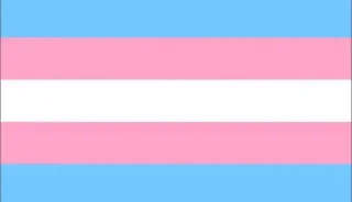 🌟 emoji TRANS RIGHT Telegram sticker 2 of 39