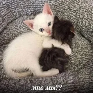 💗 emoji Китеки Telegram sticker 17 of 73