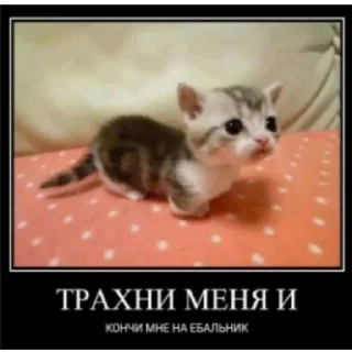 🥺 emoji у тебя мать шлюха Telegram sticker 8 of 95