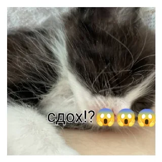 Sticker from Чорт лутший