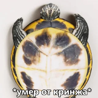 🤫 emoji Жмых @bloptop Telegram sticker 12 of 20