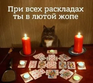 🕯️ emoji мемы Telegram sticker 10 of 97