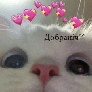 Sticker from рандом
