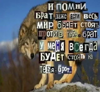 ☎ emoji алга Telegram sticker 15 of 62