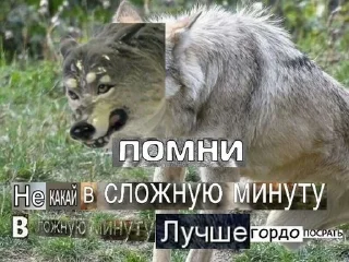 🙃 emoji алга Telegram sticker 23 of 62