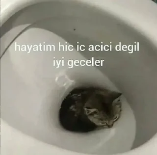 Sticker from турецкие мемы